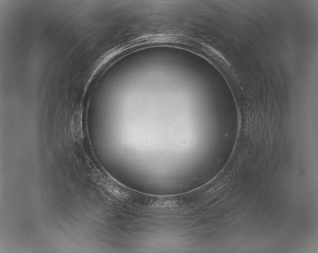 X0000052551174200507081601