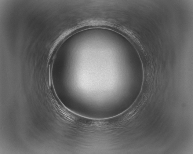 X0000052551175200507081601