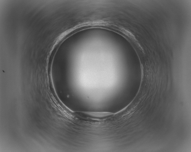 X0000052551176200507081601