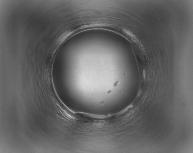 X0000052551177200507081601