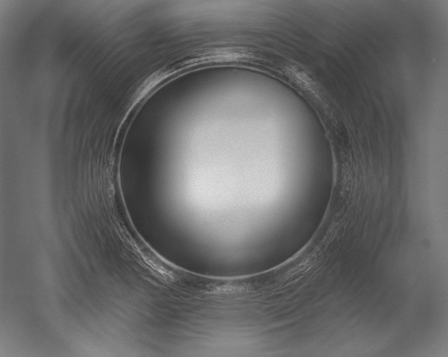 X0000052551178200507081601