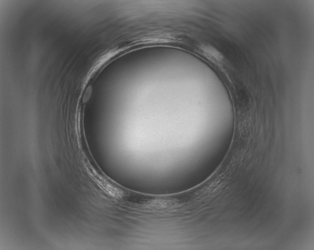 X0000052551179200507081601