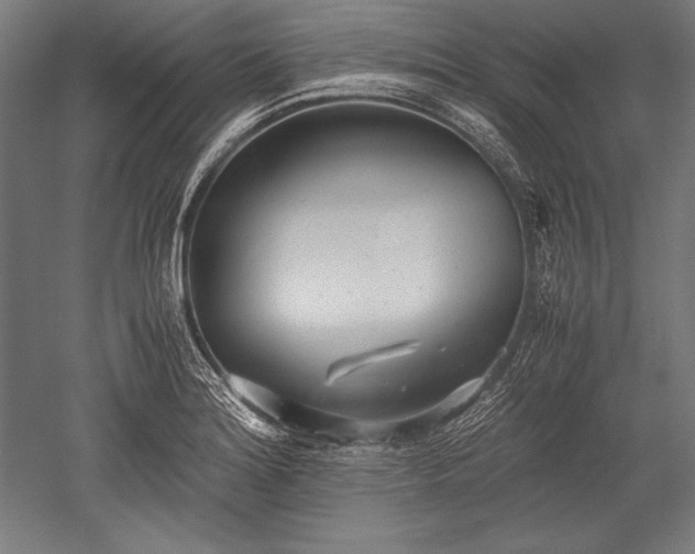 X0000052551180200507081601