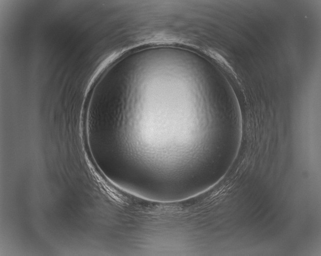 X0000052551183200507081601