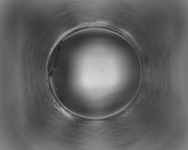 X0000052551184200507081601