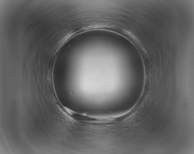 X0000052551185200507081601