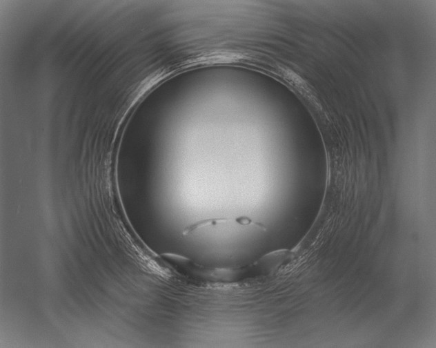 X0000052551186200507081601