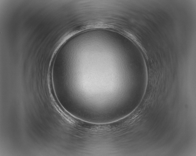 X0000052551187200507081601