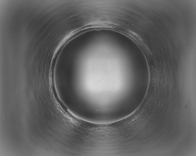 X0000052551188200507081601