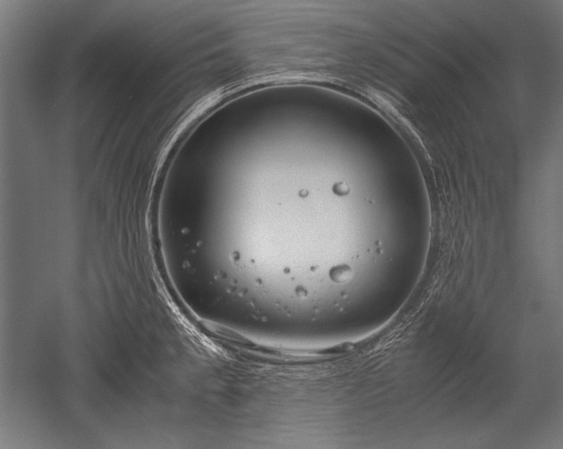 X0000052551189200507081601