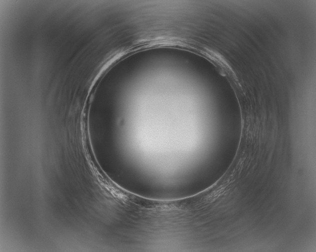 X0000052551190200507081601