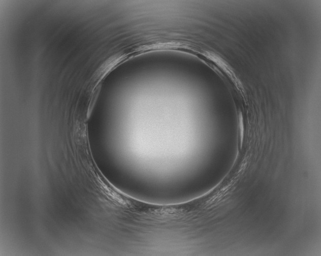 X0000052551193200507081601