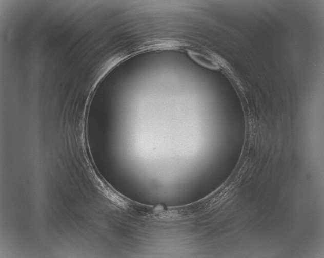 X0000052551194200507081601