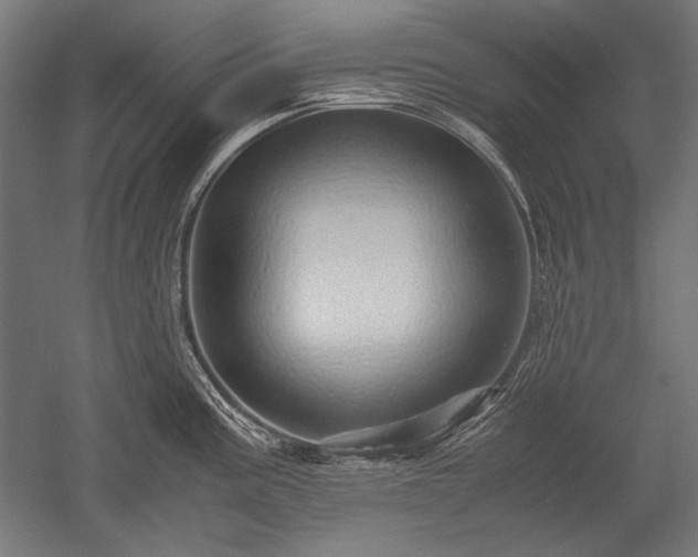 X0000052551195200507081601