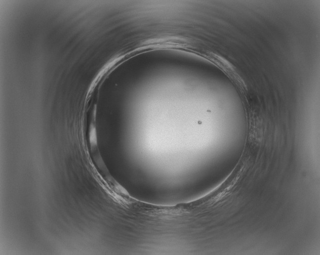 X0000052551196200507081601