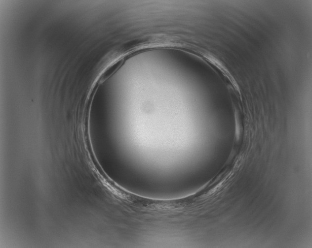 X0000052551197200507081601