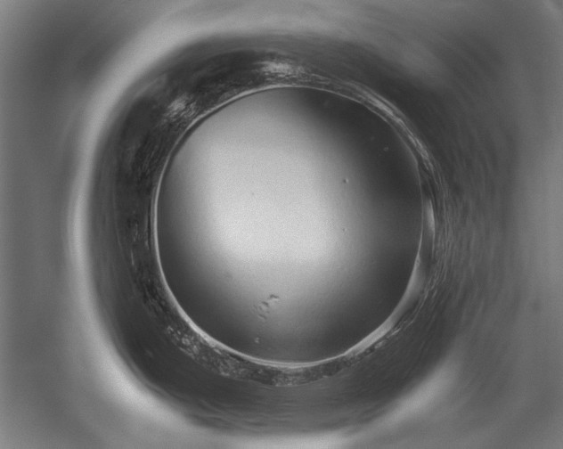 X0000052551199200507081601