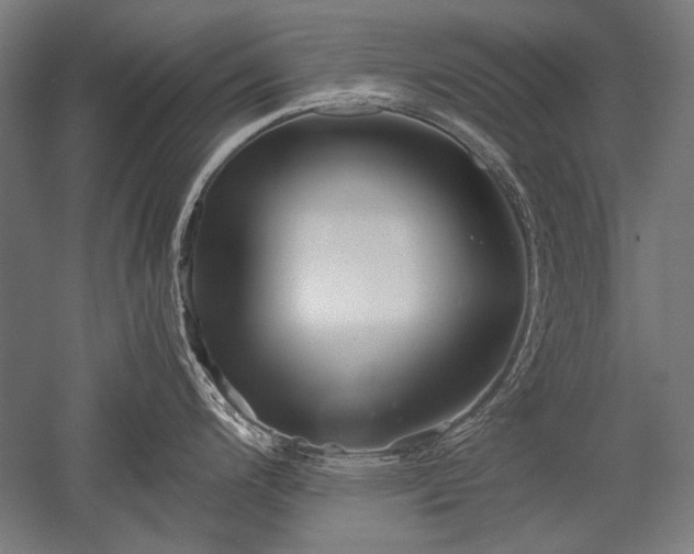 X0000052551200200507081601