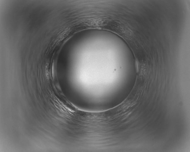 X0000052551202200507081600