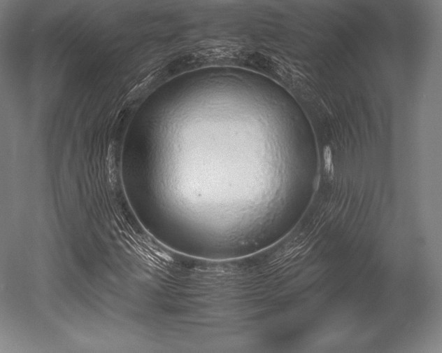 X0000052551203200507081600