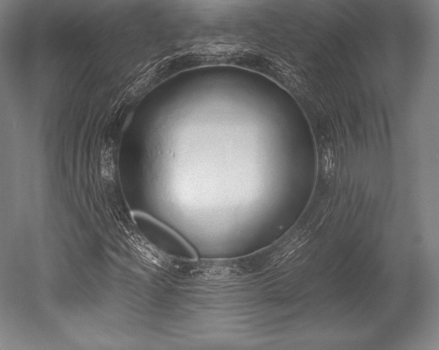 X0000052551204200507081600