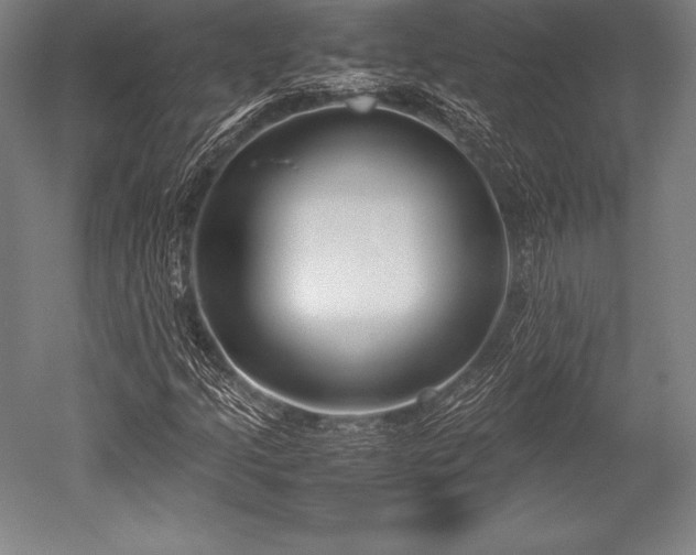 X0000052551205200507081600