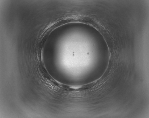 X0000052551206200507081600