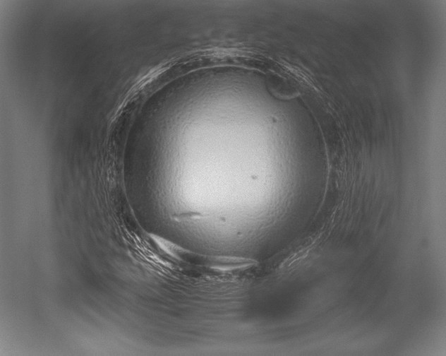 X0000052551207200507081600