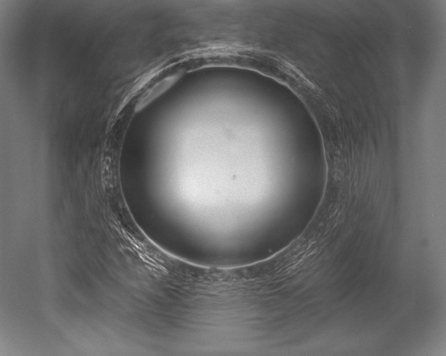 X0000052551208200507081600