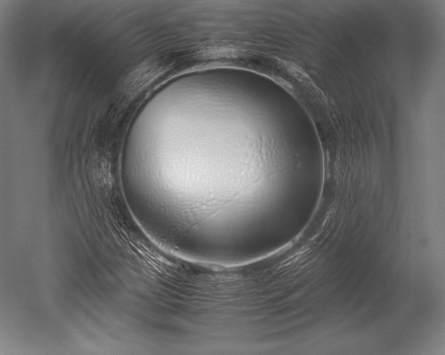 X0000052551209200507081600