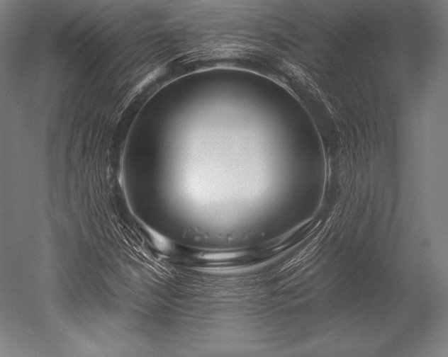 X0000052551210200507081600