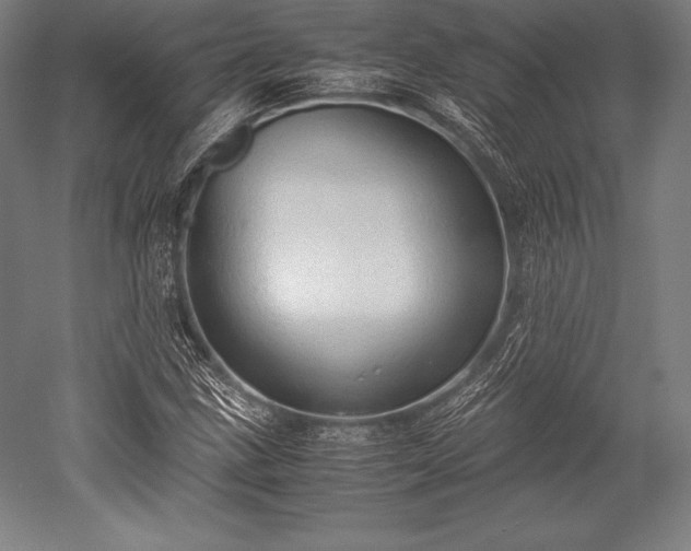 X0000052551211200507081600