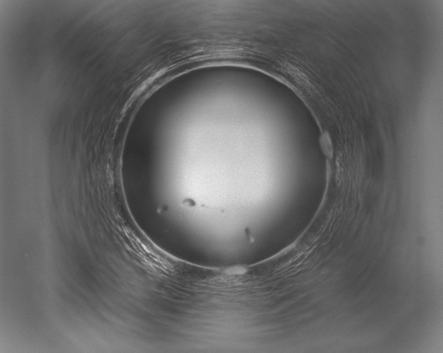 X0000052551212200507081600