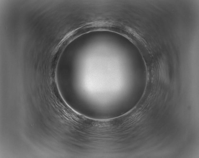 X0000052551213200507081600