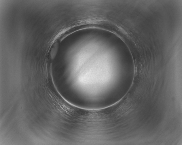 X0000052551214200507081600