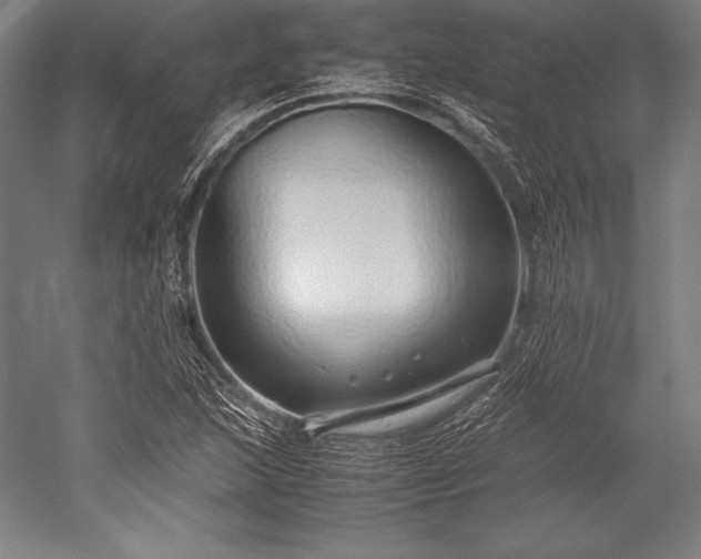 X0000052551215200507081600