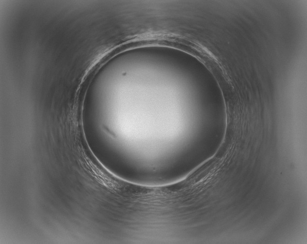 X0000052551216200507081600