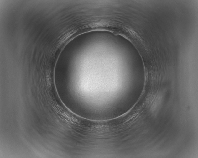 X0000052551217200507081600