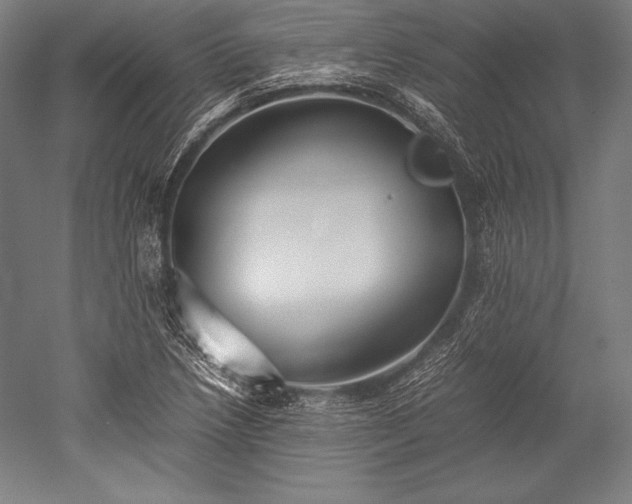 X0000052551218200507081600