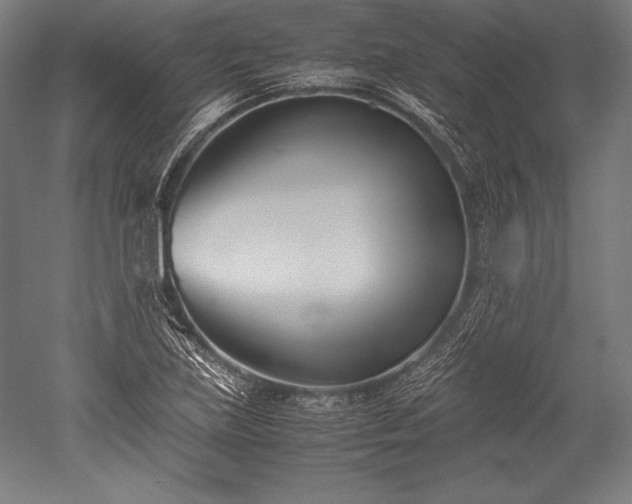 X0000052551219200507081601