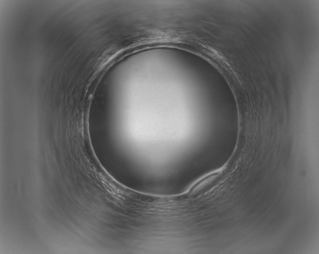 X0000052551220200507081601