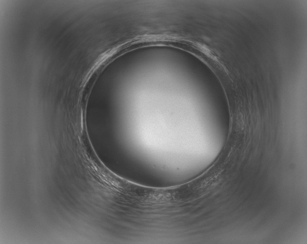 X0000052551221200507081601