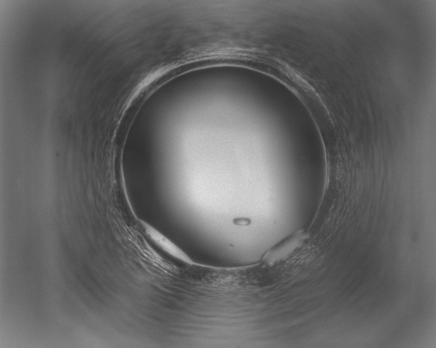 X0000052551222200507081601