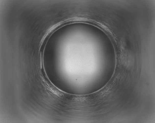 X0000052551223200507081601