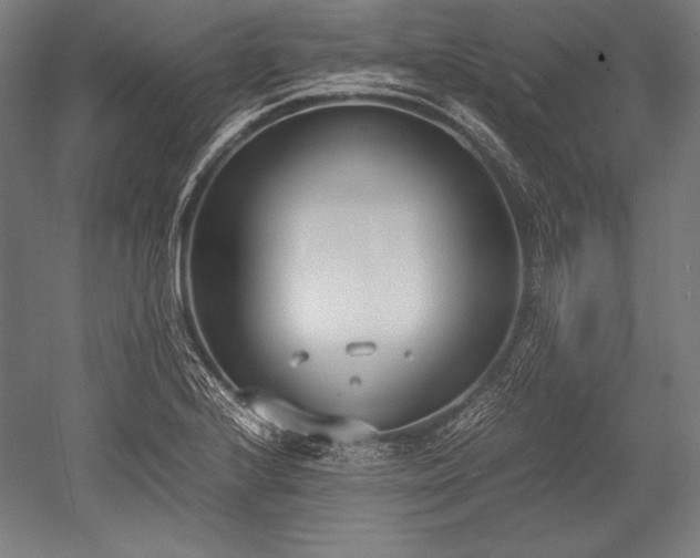 X0000052551224200507081601