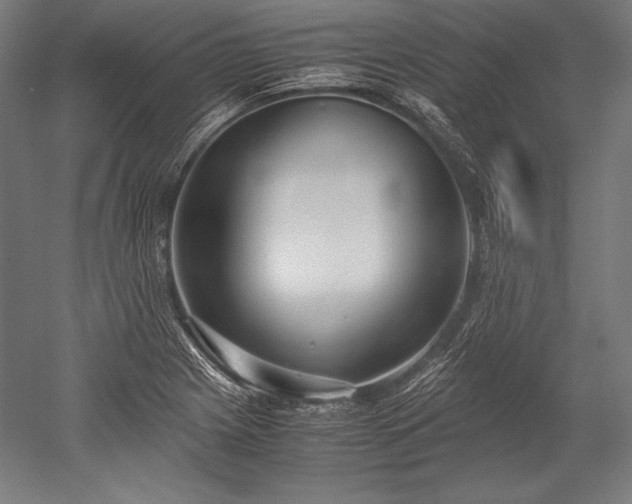 X0000052551225200507081601