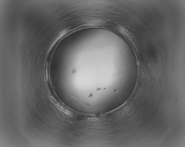 X0000052551227200507081601