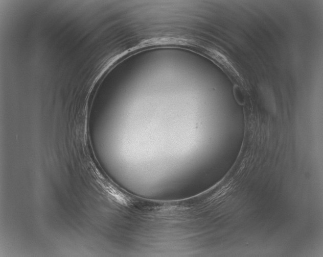 X0000052551228200507081601