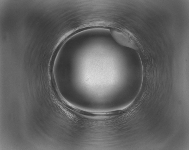 X0000052551230200507081601