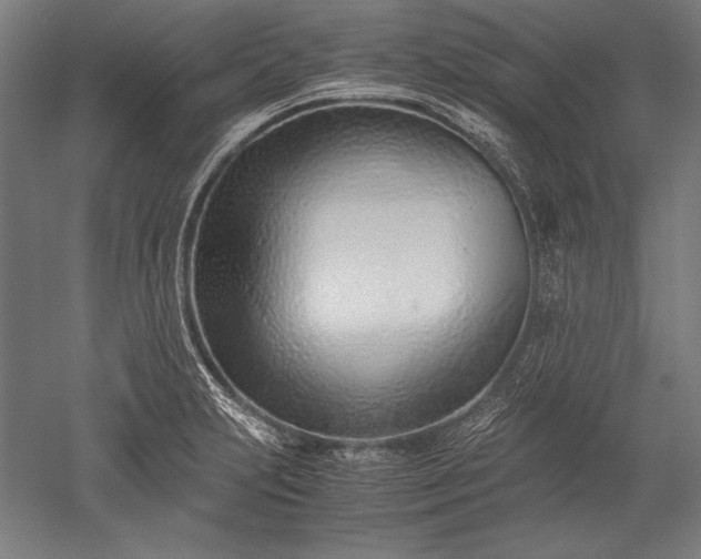 X0000052551231200507081601